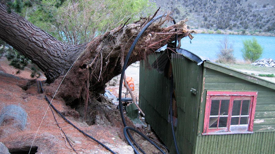 Emergency Work - NZ Tree Care